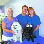 article image -